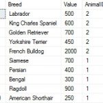 SQL CASE with UPDATE